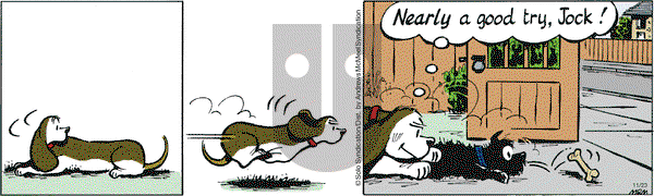 Fred Basset on Saturday November 23, 2019 Comic Strip