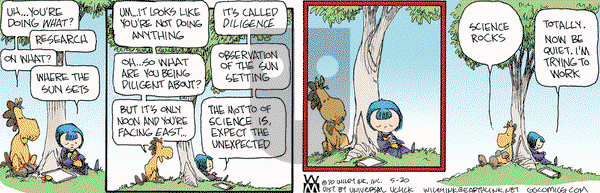 Non Sequitur on Thursday May 20, 2010 Comic Strip