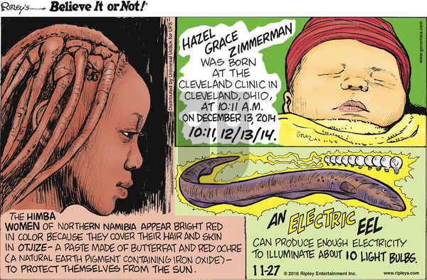 Ripley's Believe It or Not on Sunday November 27, 2016 Comic Strip