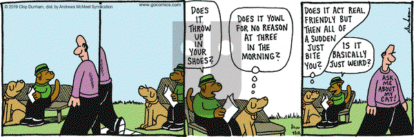 Overboard on Friday July 12, 2019 Comic Strip