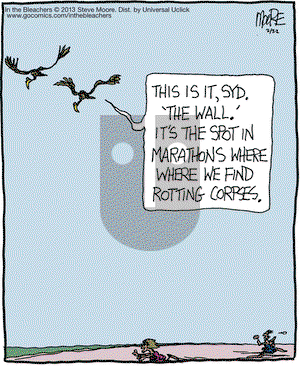 In the Bleachers on Friday February 22, 2013 Comic Strip