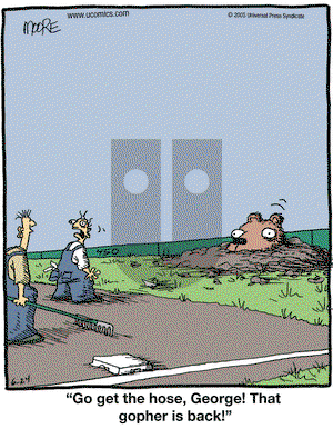 In the Bleachers on Friday June 24, 2005 Comic Strip