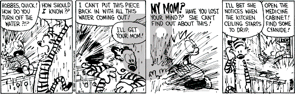 Calvin and Hobbes - Thursday August 11, 1988 Comic Strip