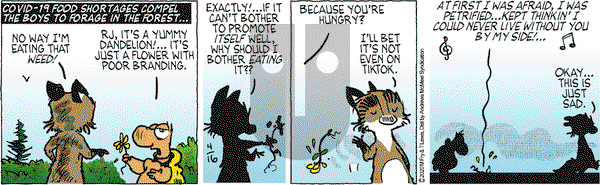 Over the Hedge on Thursday April 16, 2020 Comic Strip
