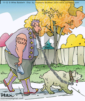 Cornered - Tuesday November 12, 2024 Comic Strip