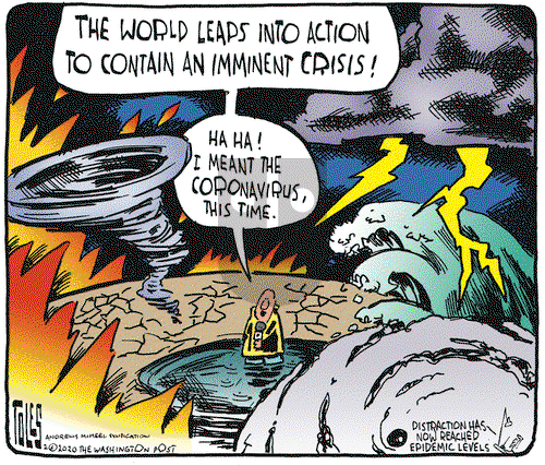 Tom Toles on Wednesday February 12, 2020 Comic Strip