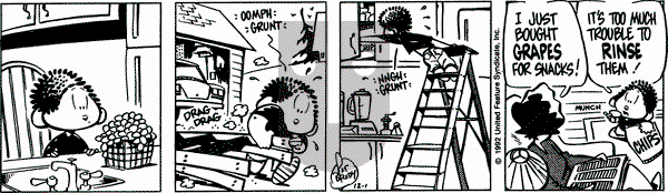 Rose is Rose on Tuesday December 1, 1992 Comic Strip