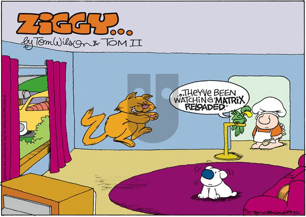 Ziggy on Sunday May 23, 2004 Comic Strip