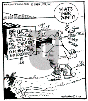 Reality Check on Tuesday January 12, 1999 Comic Strip