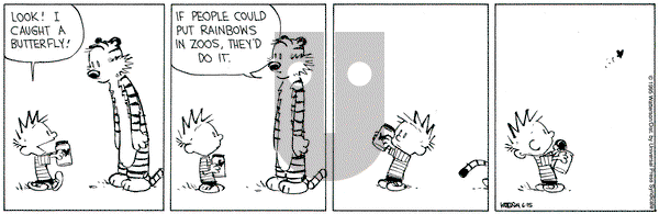 Calvin and Hobbes on Thursday June 15, 1995 Comic Strip