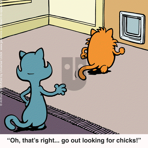 Learn to Speak Cat - Friday September 13, 2024 Comic Strip