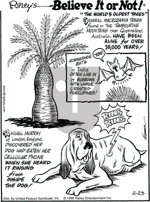 Ripley's Believe It or Not on Monday February 23, 1998 Comic Strip