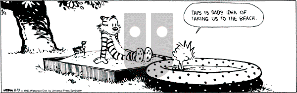 Calvin and Hobbes - Monday August 23, 1993 Comic Strip