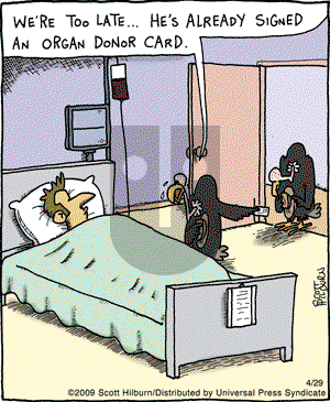 The Argyle Sweater on Wednesday April 29, 2009 Comic Strip