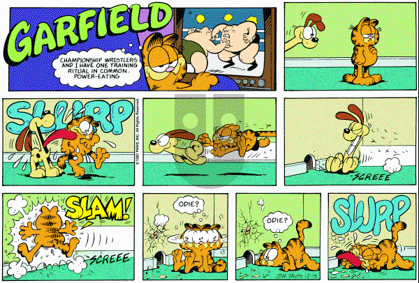 Garfield on Sunday December 13, 1987 Comic Strip