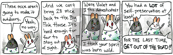 Breaking Cat News on Wednesday November 12, 2025 Comic Strip