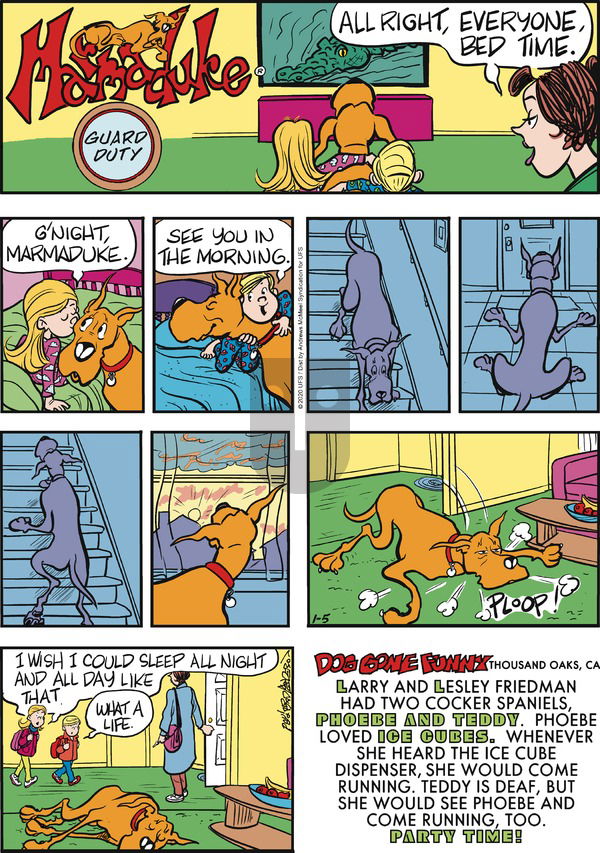 Marmaduke on Sunday January 5, 2020 Comic Strip