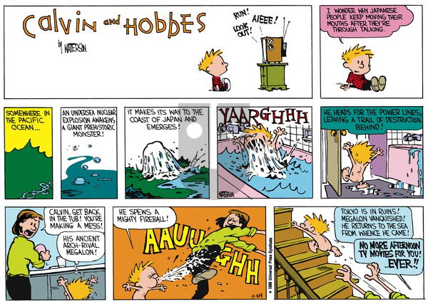 Calvin and Hobbes on Sunday December 21, 1986 Comic Strip