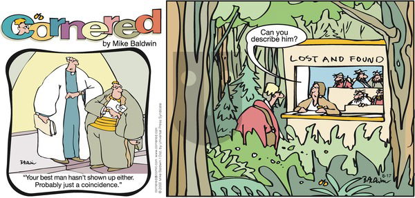 Cornered on Sunday August 17, 2008 Comic Strip