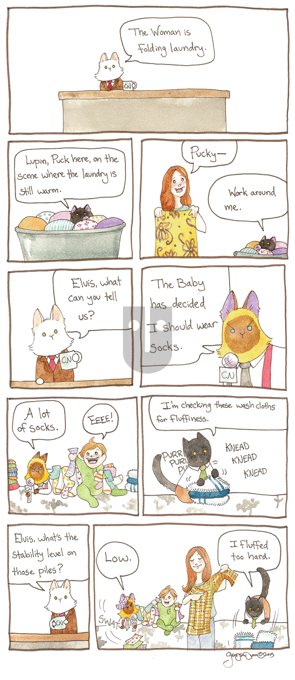 Breaking Cat News on Thursday September 24, 2015 Comic Strip