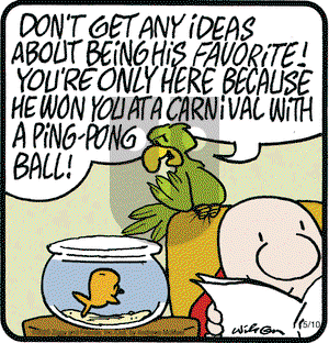 Ziggy - Saturday May 10, 2025 Comic Strip
