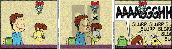 Garfield on Tuesday December 24, 2013 Comic Strip
