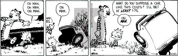 Calvin and Hobbes - Saturday May 27, 1989 Comic Strip
