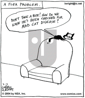 Kit 'N' Carlyle on Saturday February 7, 2004 Comic Strip