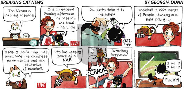 Breaking Cat News on Sunday July 14, 2019 Comic Strip