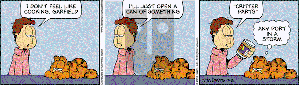 Garfield on Wednesday July 3, 2013 Comic Strip