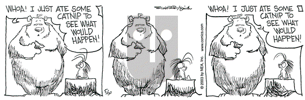 The Grizzwells on Friday May 30, 2003 Comic Strip