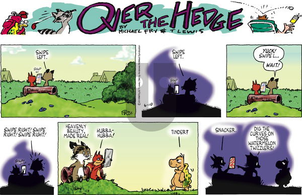Over the Hedge on Sunday June 10, 2018 Comic Strip