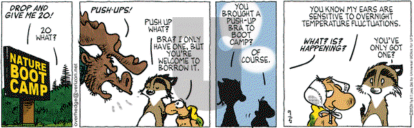 Over the Hedge on Wednesday September 5, 2012 Comic Strip
