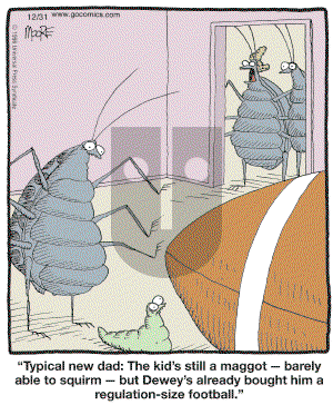 In the Bleachers - Monday December 31, 2007 Comic Strip