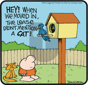 Ziggy on Saturday March 2, 2013 Comic Strip