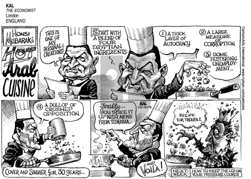 Views of the World on Sunday February 13, 2011 Comic Strip