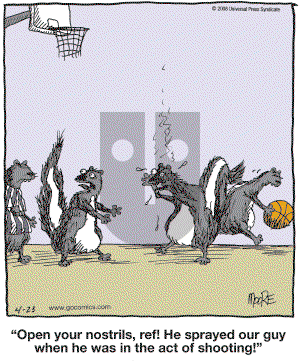In the Bleachers - Wednesday April 23, 2008 Comic Strip