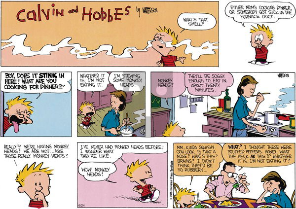 Calvin and Hobbes on Sunday August 11, 1991 Comic Strip
