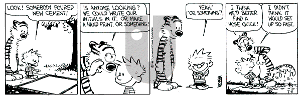 Calvin and Hobbes - Saturday July 11, 1987 Comic Strip