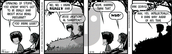 The Boondocks on Saturday June 16, 2001 Comic Strip