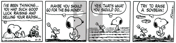 Peanuts - Saturday June 16, 1979 Comic Strip