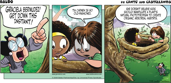 Baldo on Sunday July 20, 2008 Comic Strip