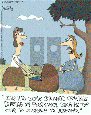 The Flying McCoys on Monday August 2, 2010 Comic Strip