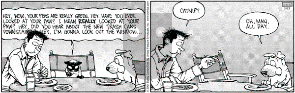 Get Fuzzy on Saturday May 5, 2001 Comic Strip
