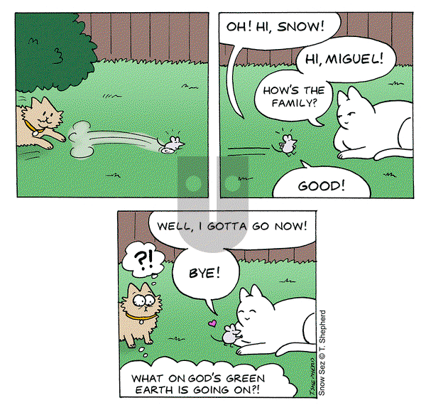 Snow Sez - Friday November 9, 2018 Comic Strip