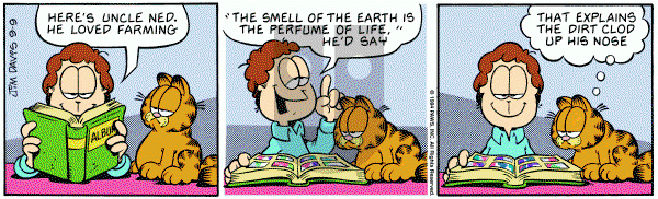 Garfield on Friday September 9, 1994 Comic Strip