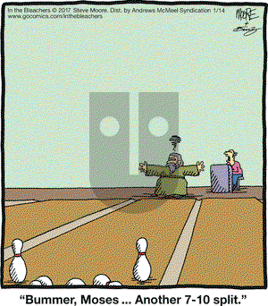 In the Bleachers on Saturday January 14, 2017 Comic Strip