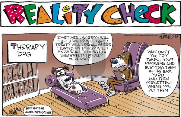 Reality Check on Sunday March 8, 2020 Comic Strip