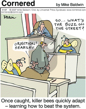 Cornered on Tuesday July 17, 2007 Comic Strip