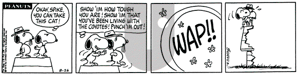 Peanuts on Tuesday August 26, 1975 Comic Strip